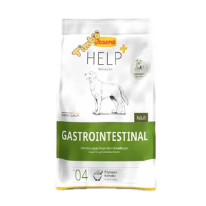 غذای سگ؛ هر آنچه باید بدانید